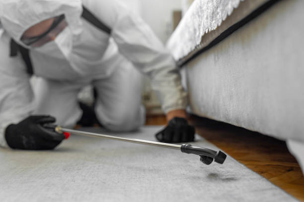 Professional Pest Control technician working in Steeleville, IL
